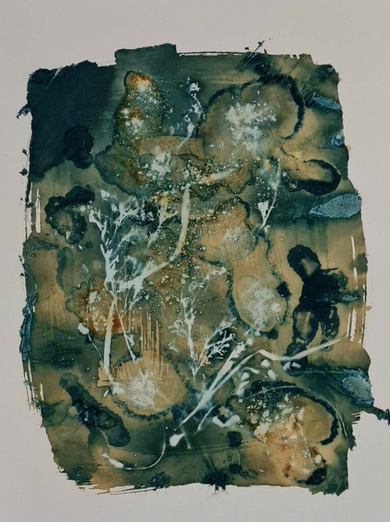 Cyanotype cyanotypie Neantske Gerbens Nynke Koning