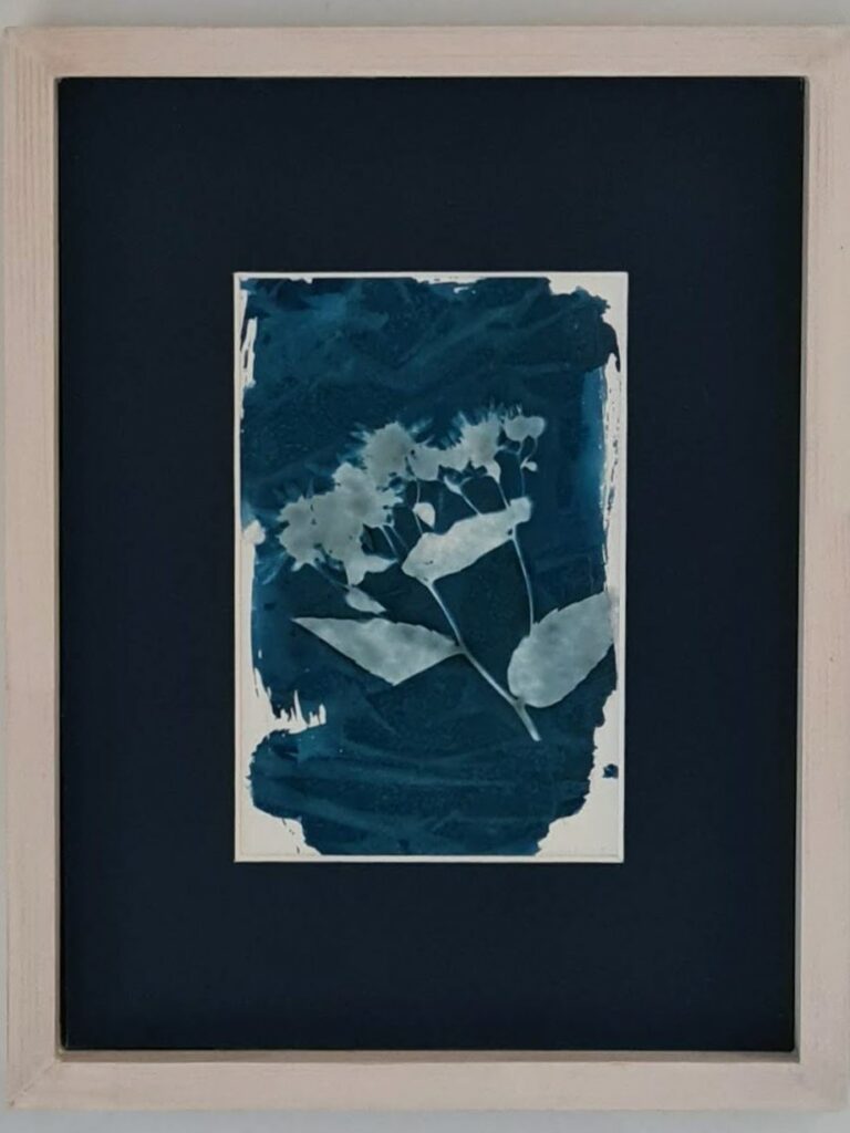 Cyanotype cyanotypie Neantske Gerbens Nynke Koning